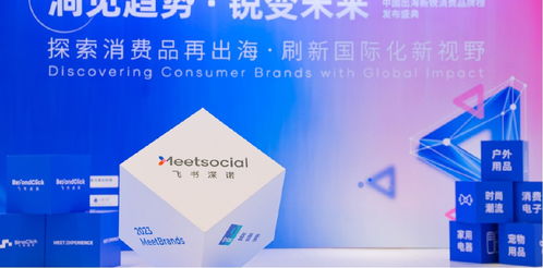 新品類、新渠道、新技術 飛書深諾沈晨崗談出海品牌如何借數(shù)字技術服務開啟新故事